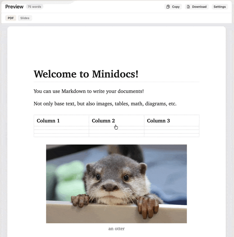 Customizing Minidocs preview styling and document appearance